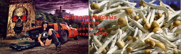 каннабис Абинск