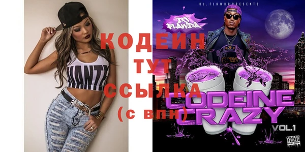 соль ск Кукмор