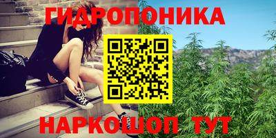 СК Донецк