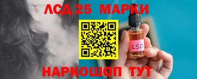 СК Донецк