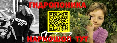 a pvp Дубна