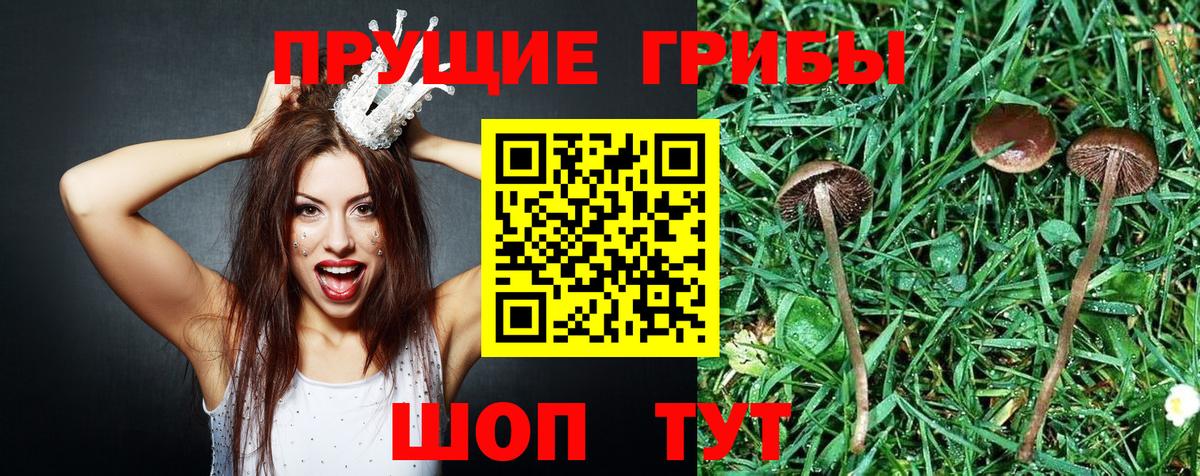 Псилоцибиновые грибы прущие грибы  Вход с VPN  Химки 