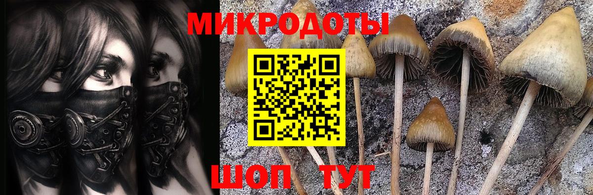 Альфа ПВП Химки