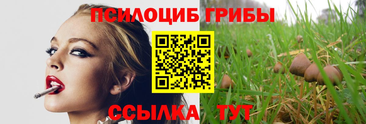 Псилоцибиновые грибы Magic Shrooms Химки